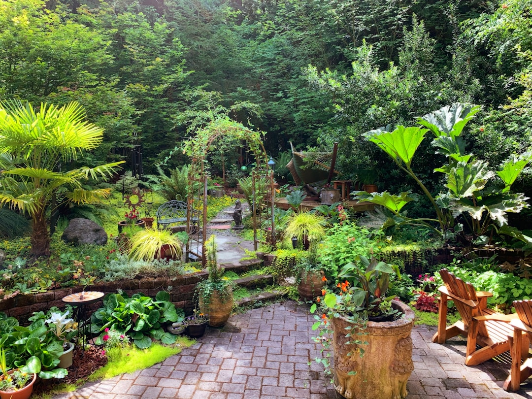 Transform Your Backyard into a Serene Outdoor Oasis