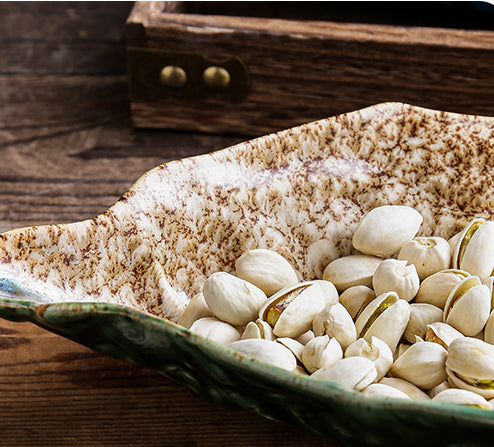 Coastal Elegance Oyster Plates & Platters