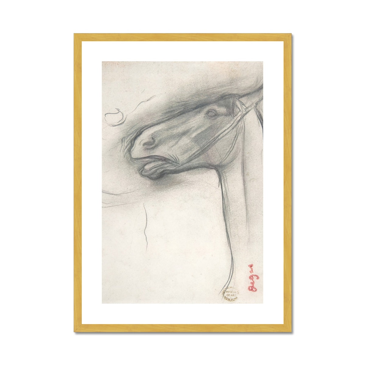 horse study Antique Framed & Mounted Print