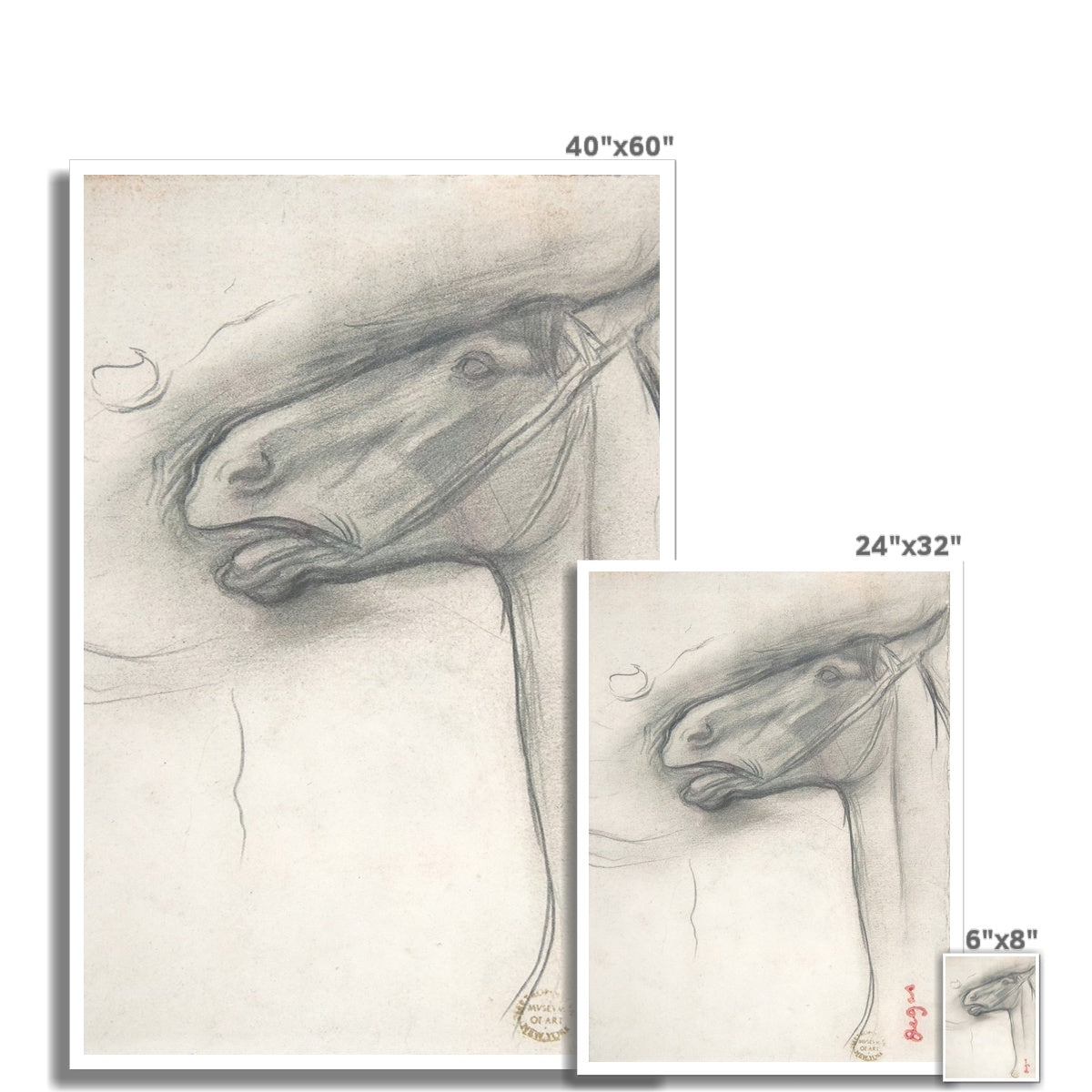 horse study Hahnemühle German Etching Print