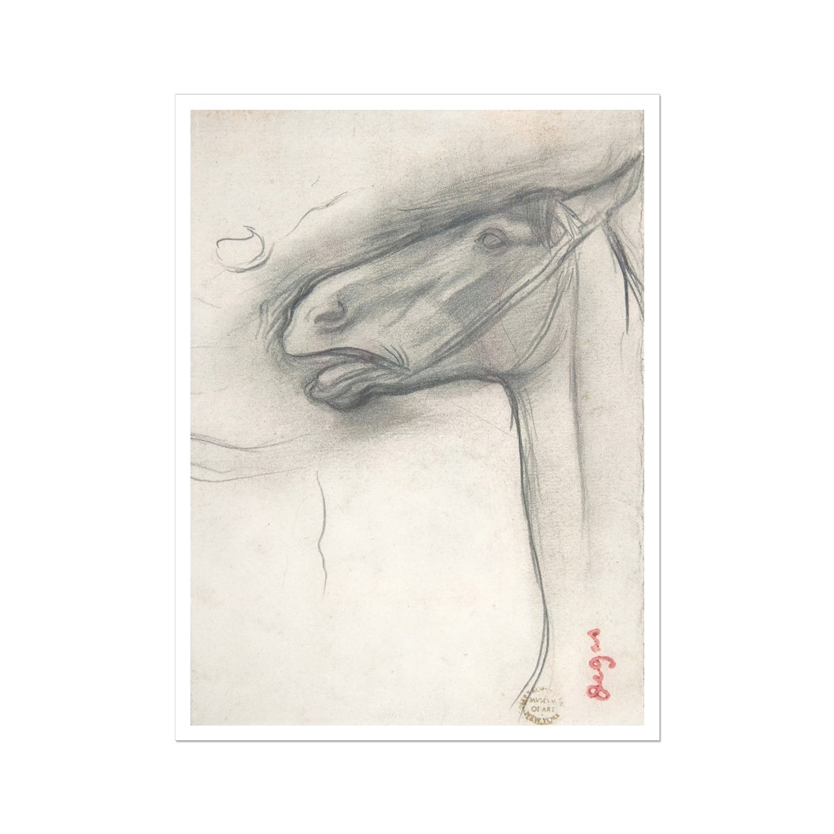 horse study Hahnemühle German Etching Print