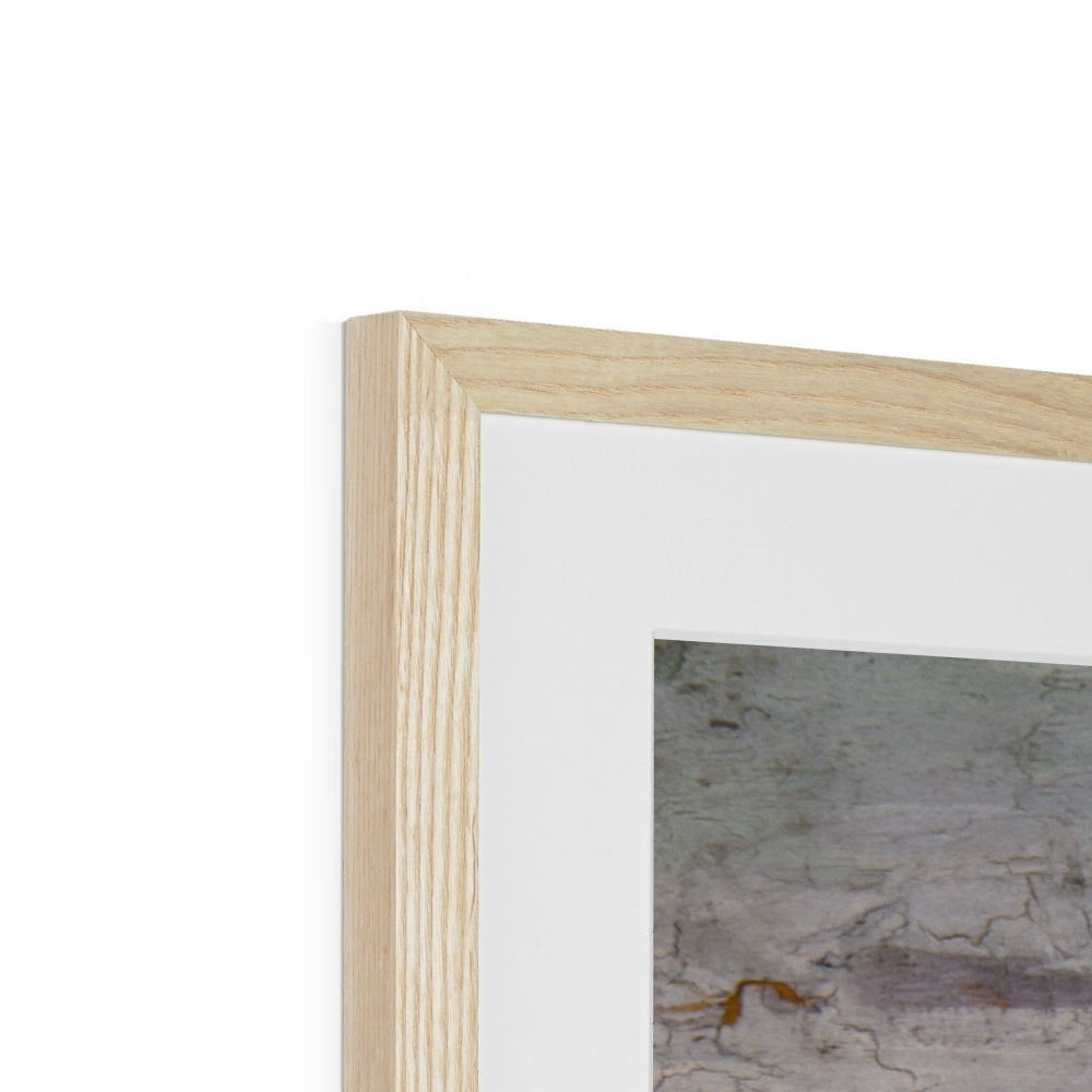 white flamingos Framed & Mounted Print