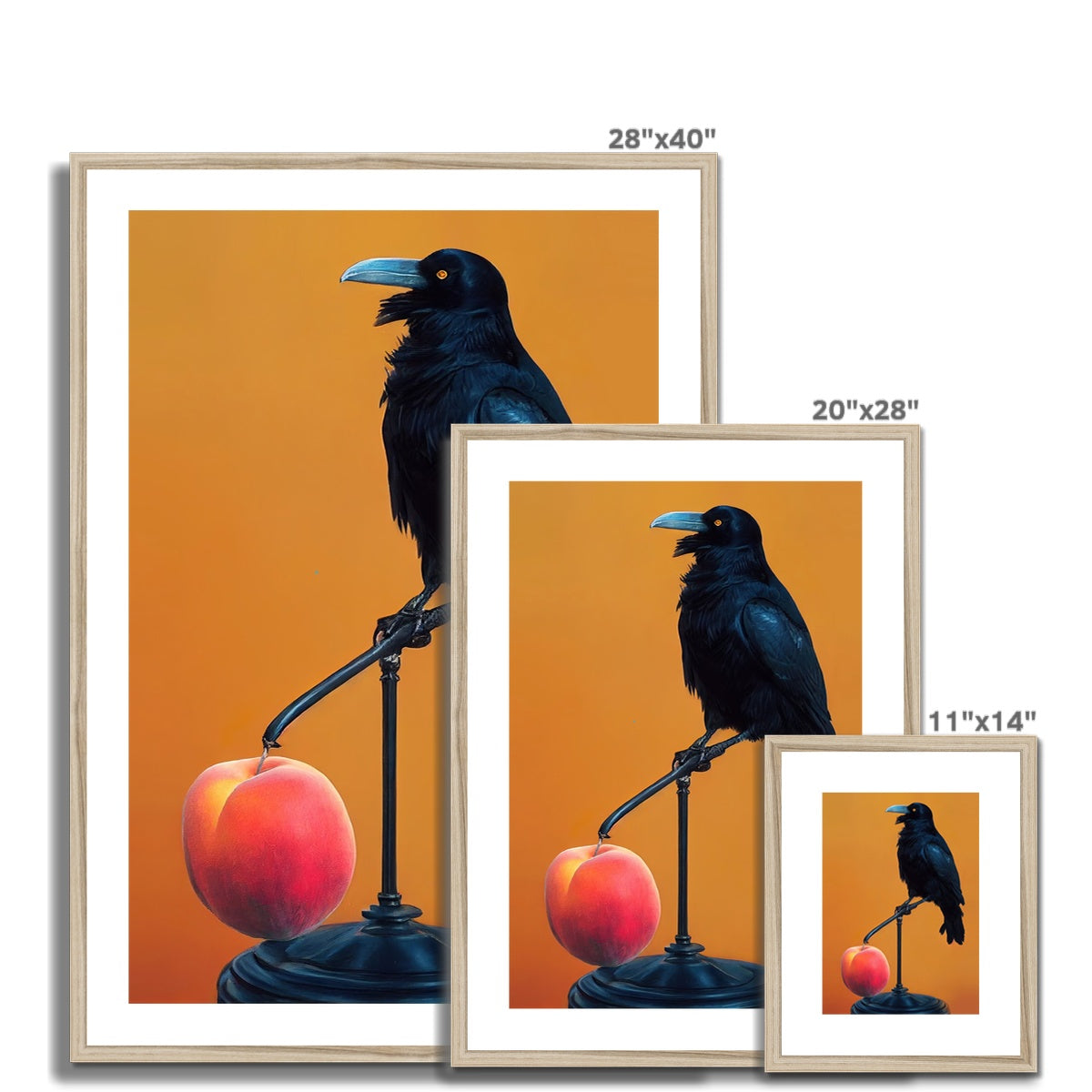 Crow still life Framed &amp; Mounted Print Ramble &amp; Roam