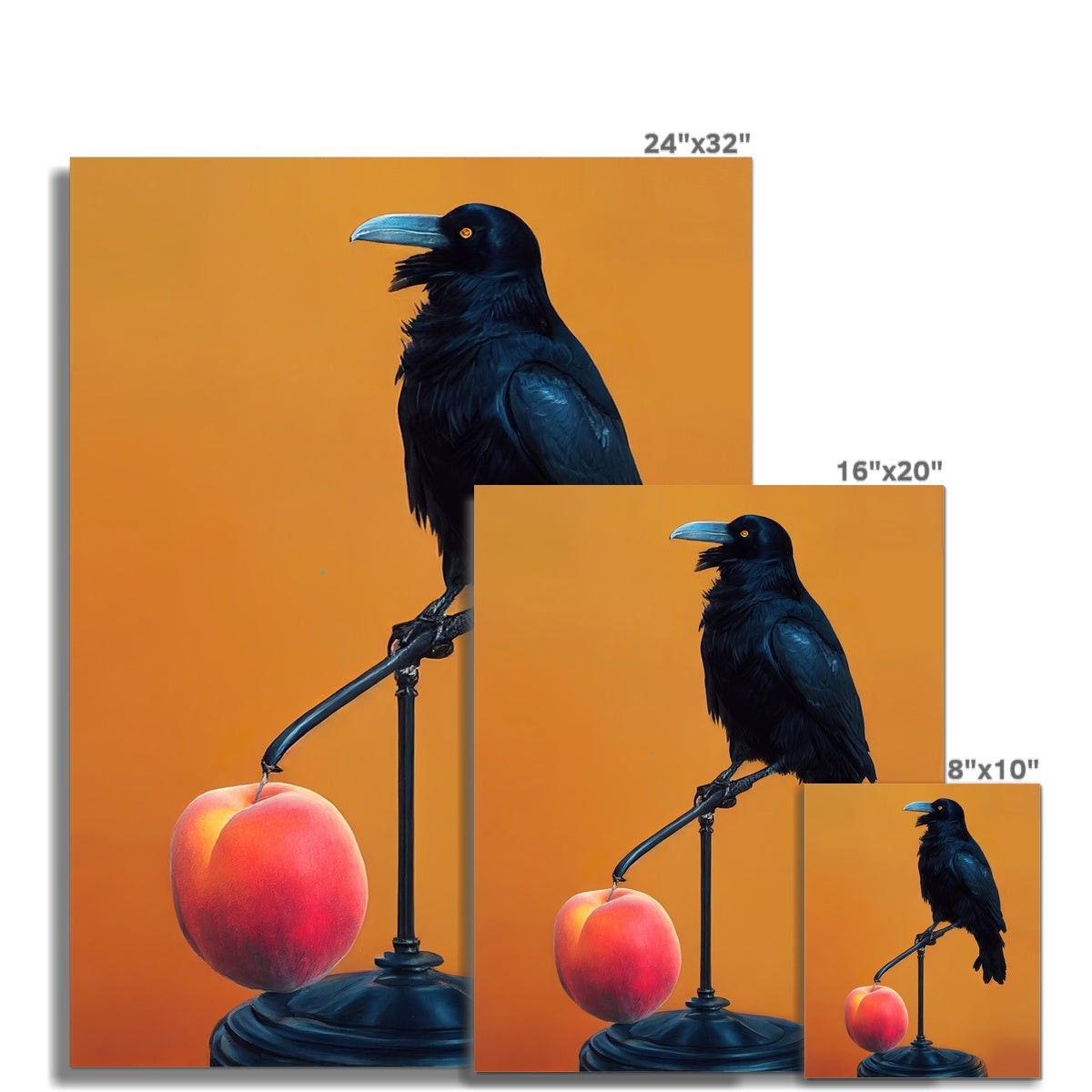 Crow still life Hahnemühle German Etching Print Ramble & Roam