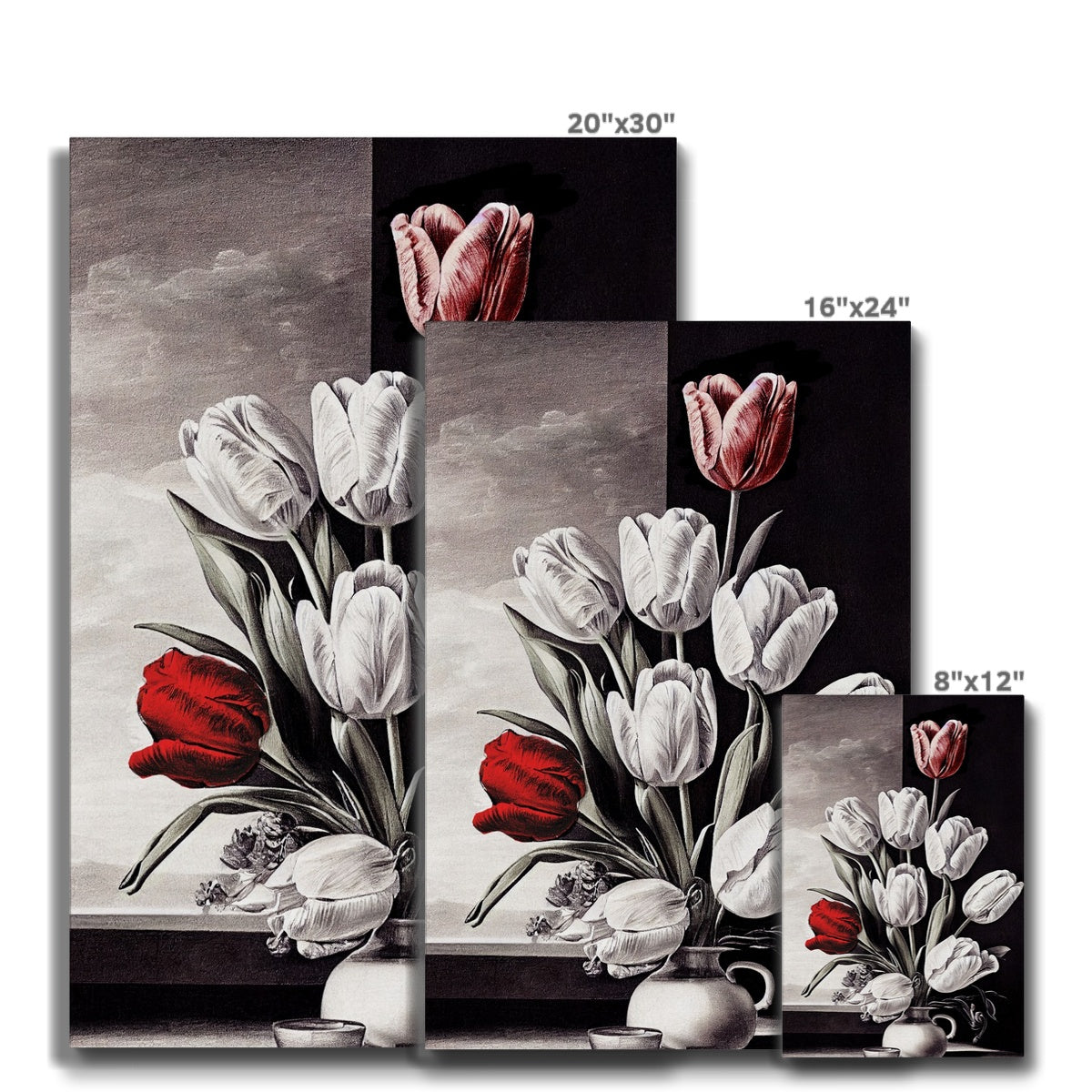 Tulip study Eco Canvas Ramble & Roam