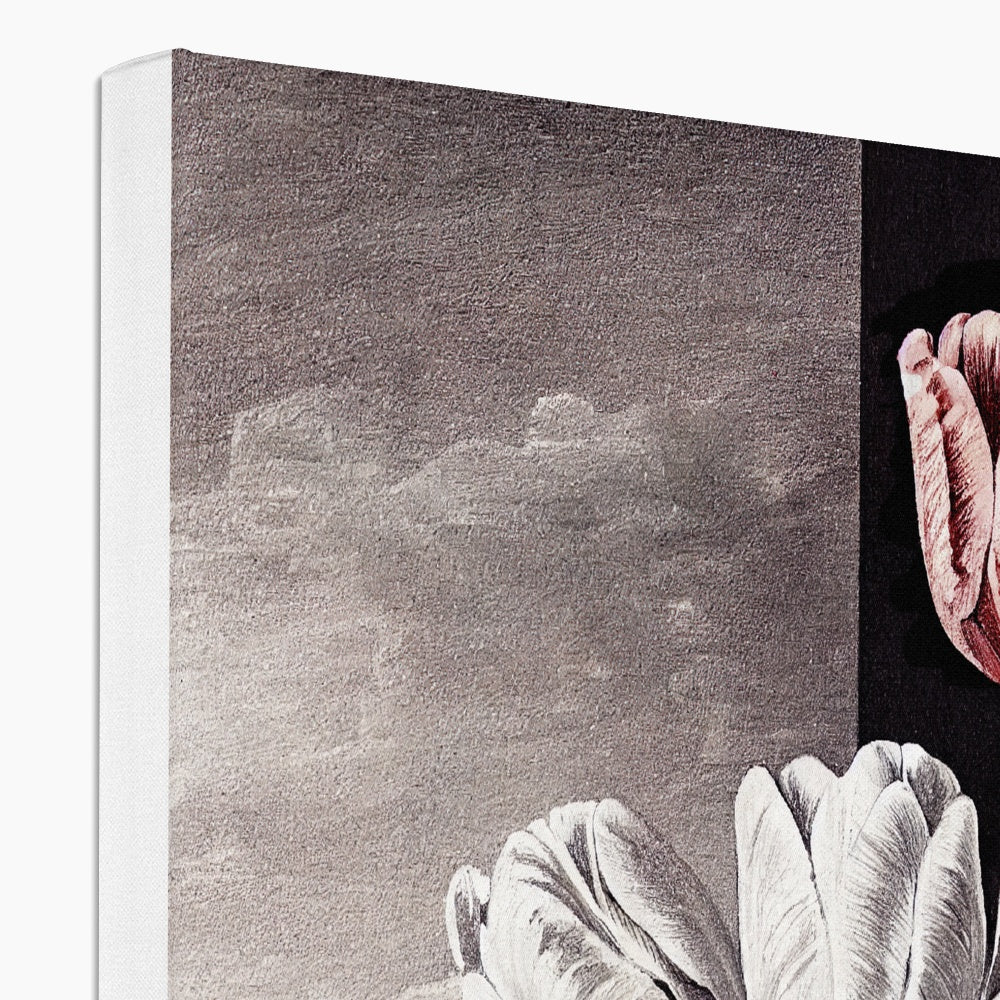 Tulip study Eco Canvas Ramble & Roam