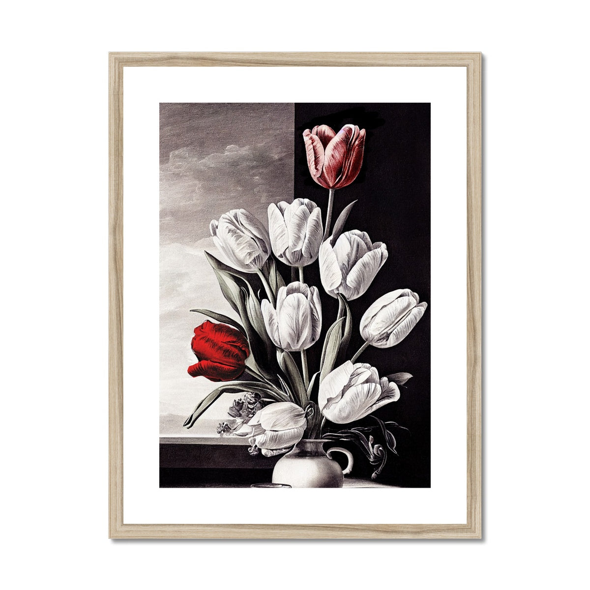 Tulip study Framed &amp; Mounted Print Ramble &amp; Roam