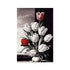 Tulip study Hahnemühle German Etching Print Ramble & Roam