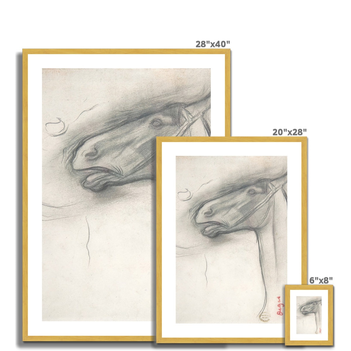 horse study Antique Framed & Mounted Print