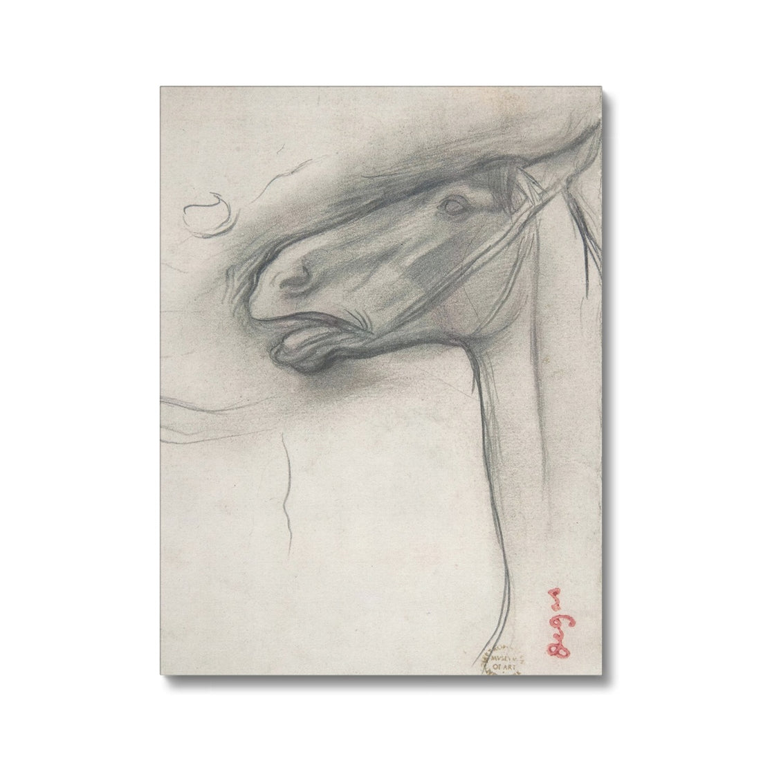 horse study Canvas