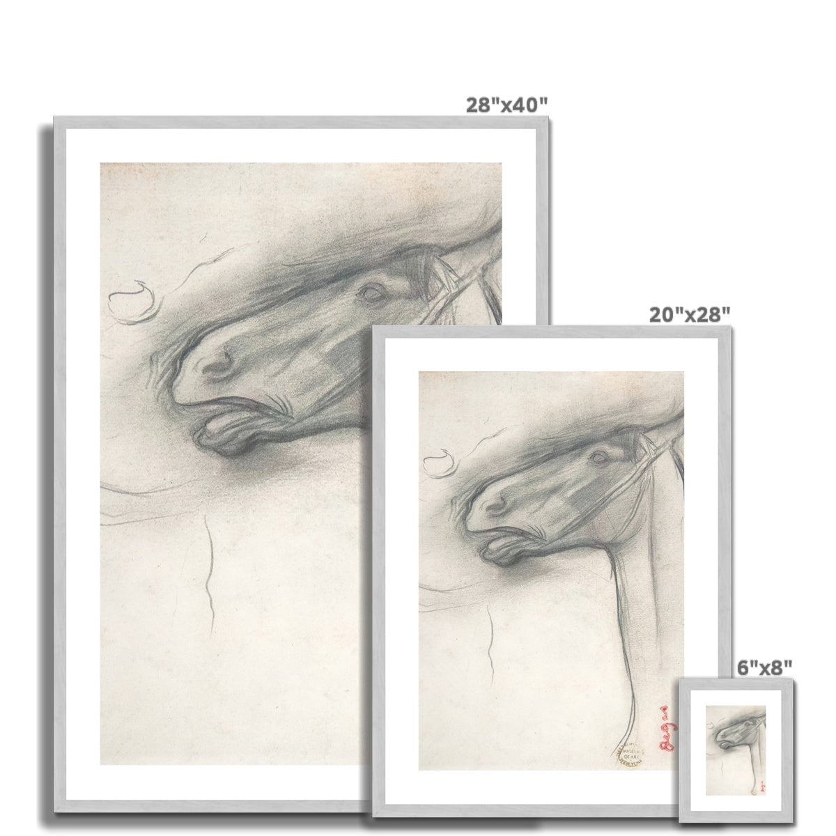 horse study Antique Framed & Mounted Print