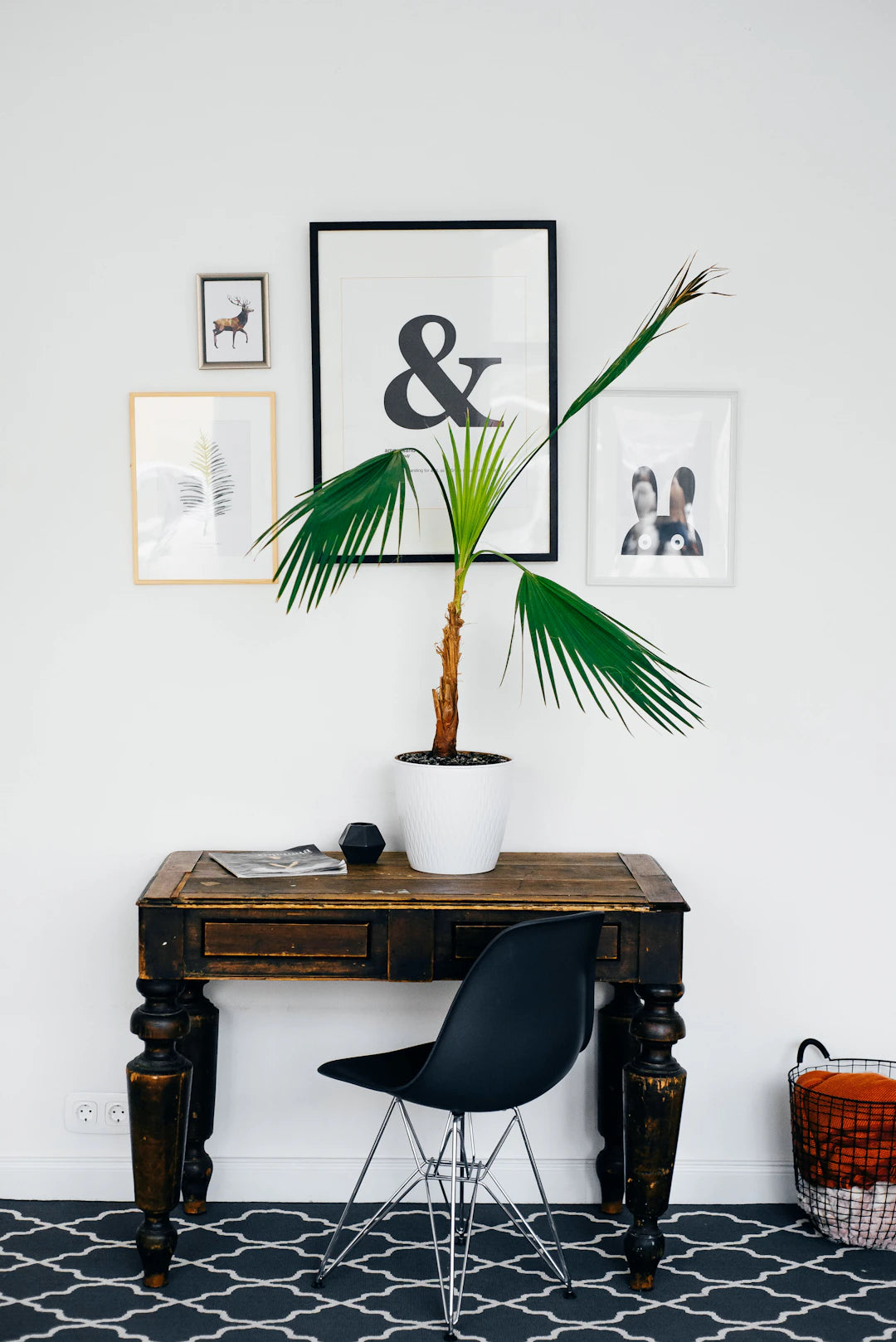 Balancing Chaos: Achieving Harmony in Maximalist Decor