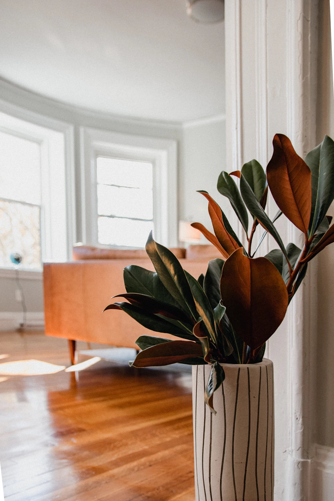 Maximalism Meets Sustainability in Modern Decor