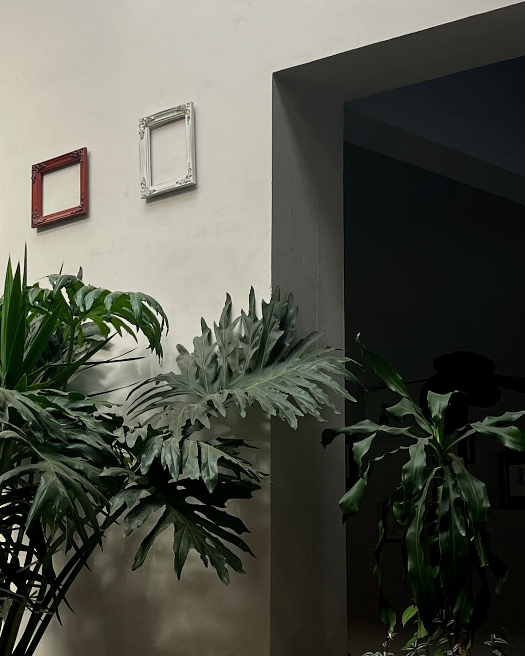The Vibrant Role of Art in Maximalist Decor