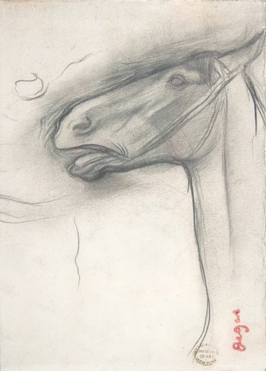 horse study