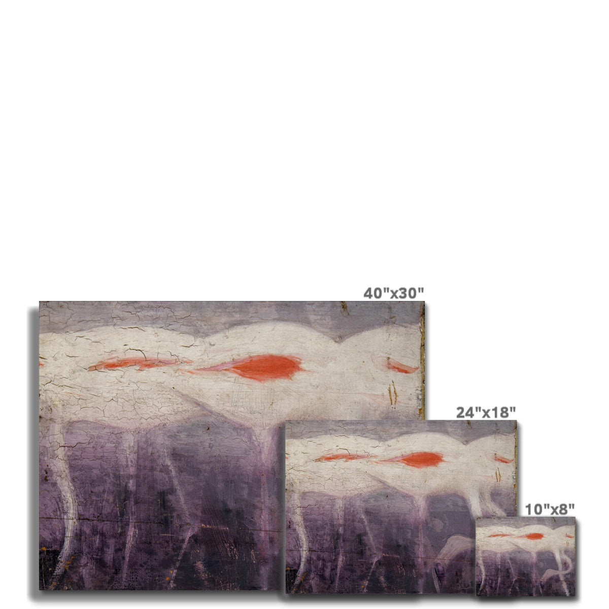 white flamingos Canvas