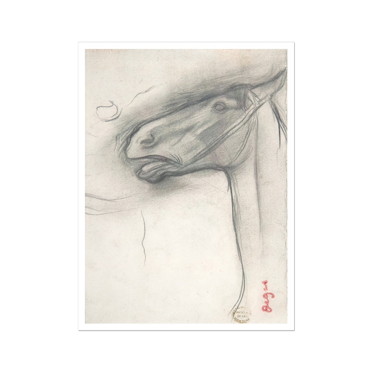 horse study Hahnemühle German Etching Print