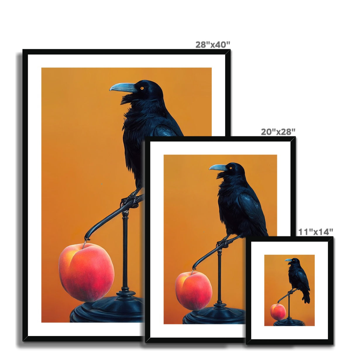 Crow still life Framed &amp; Mounted Print Ramble &amp; Roam