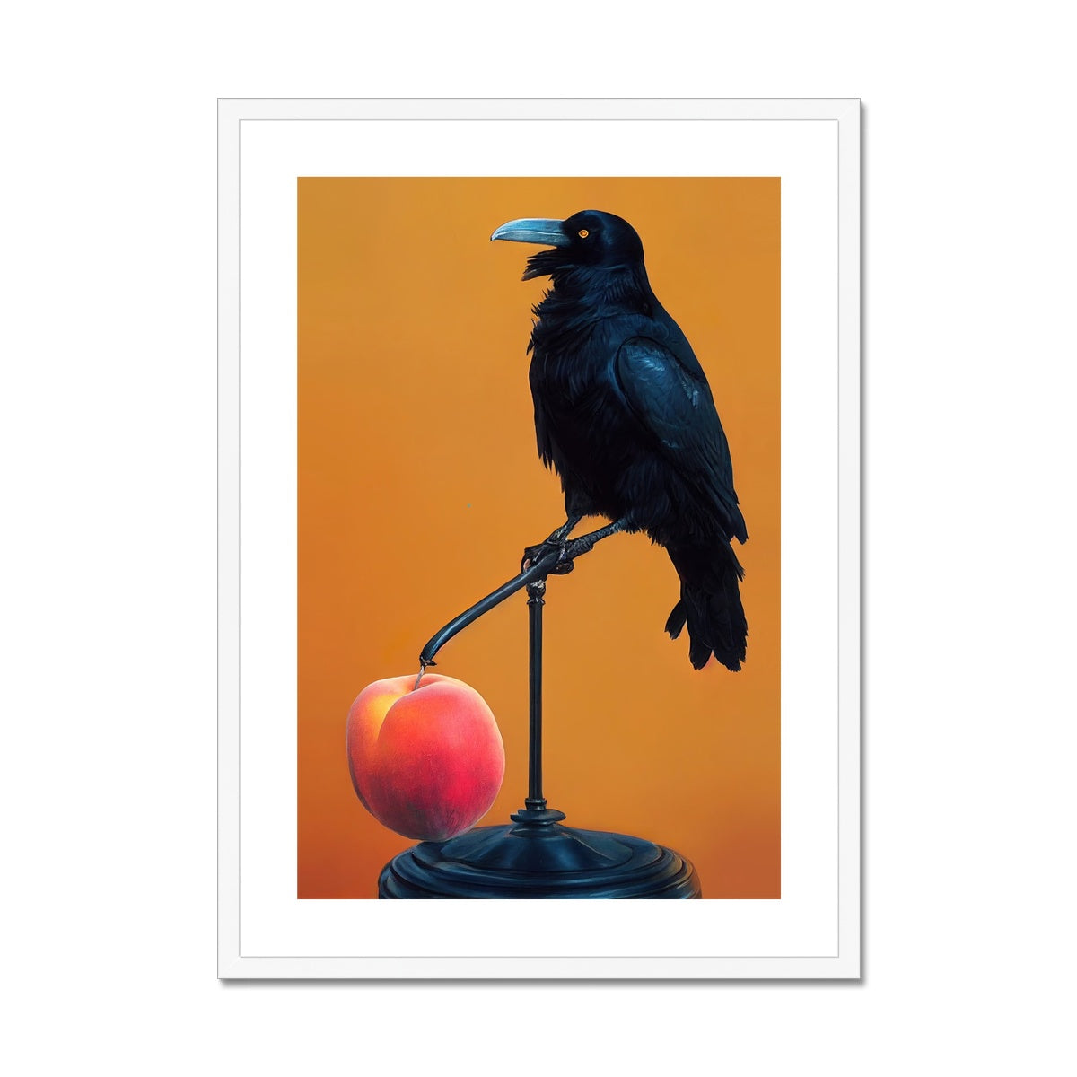 Crow still life Framed &amp; Mounted Print Ramble &amp; Roam