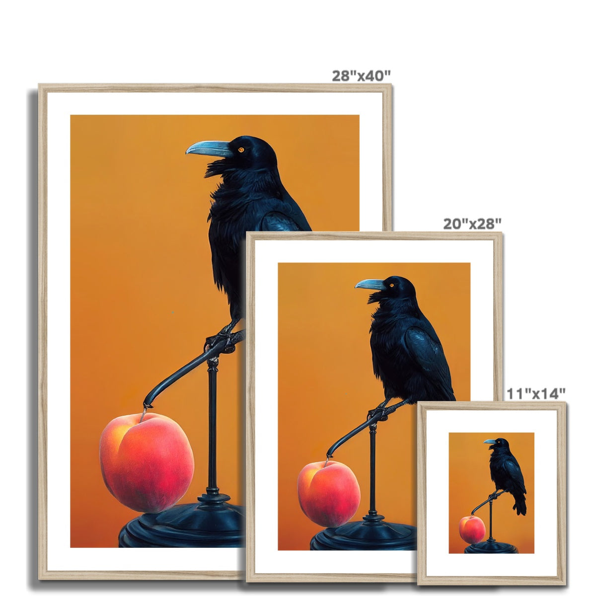 Crow still life Framed & Mounted Print Ramble & Roam