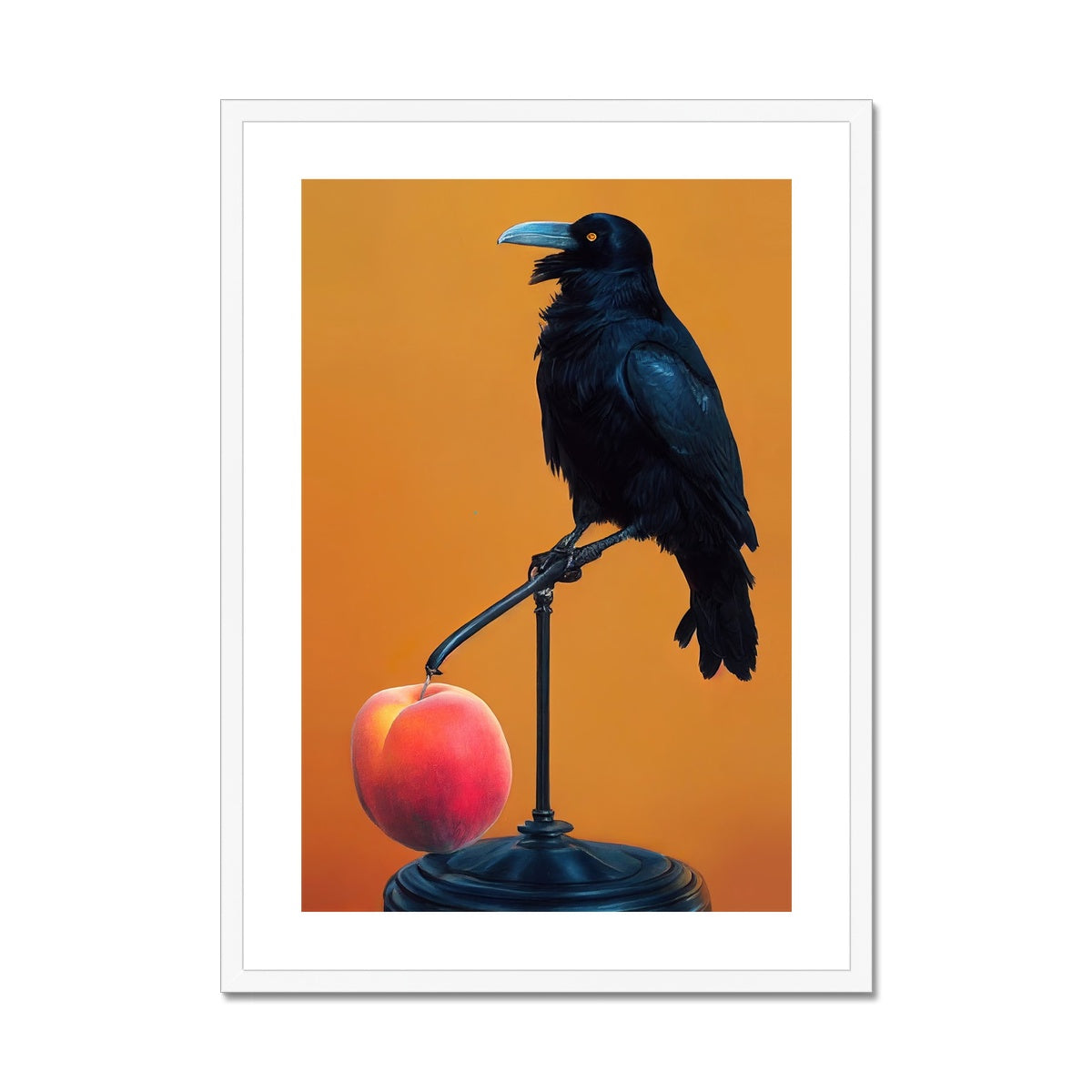Crow still life Framed & Mounted Print Ramble & Roam