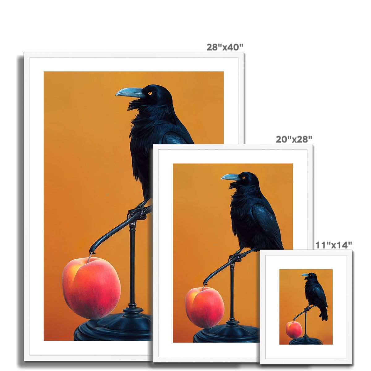 Crow still life Framed &amp; Mounted Print Ramble &amp; Roam