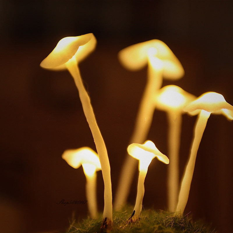 DIY Retro Mushroom Night Light Ramble Roam Co