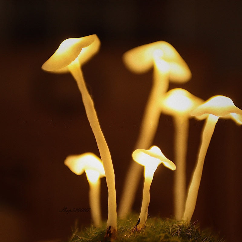 DIY Retro Mushroom Night Light Ramble & Roam