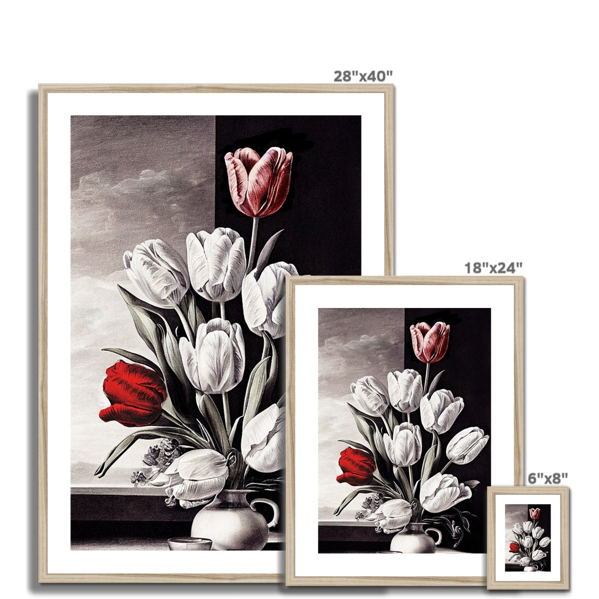 Tulip study Framed &amp; Mounted Print Ramble &amp; Roam