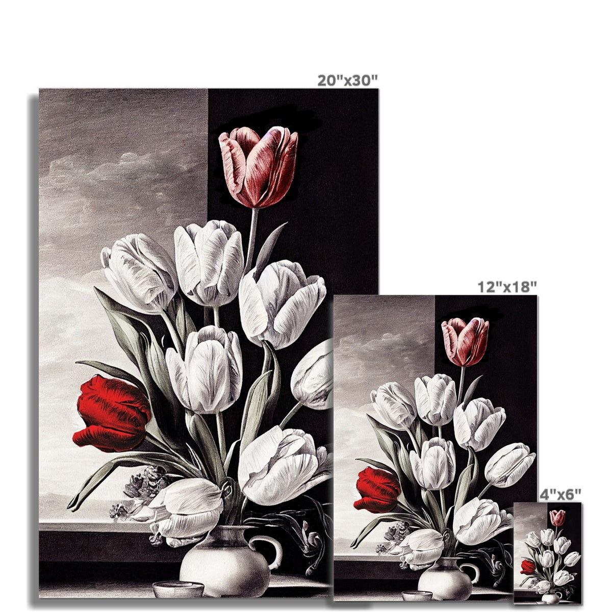 Tulip study Hahnemühle German Etching Print Ramble &amp; Roam