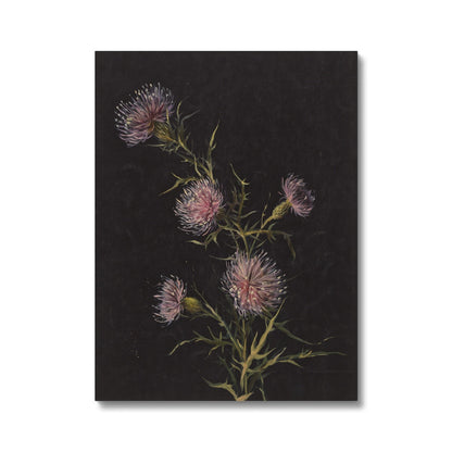 Study Of Thistle, 1890